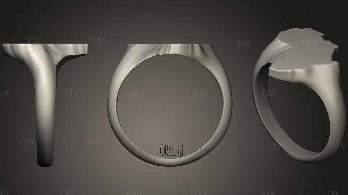 Африканское мужское кольцо 3d stl модель для ЧПУ